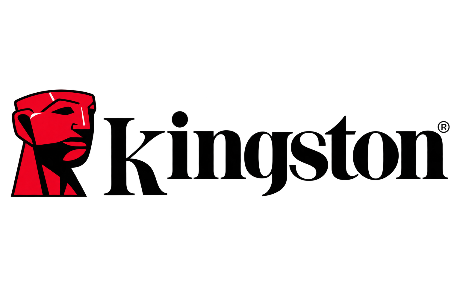 KINGSTON logosu
