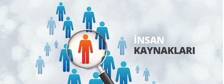 WOLVOX İnsan Kaynakları