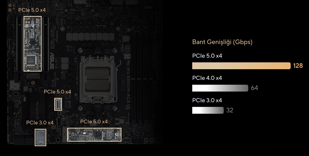 ASUS PRO WS B850-ACE SE WIFI7 DDR5 HDMI DP PCIE 5.0 AM5 ATX İş İstasyonu Anakartı