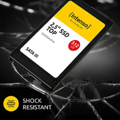 INTENSO 250GB PERFORMANCE 3814440 550- 500MB/s SSD SATA-3 Disk