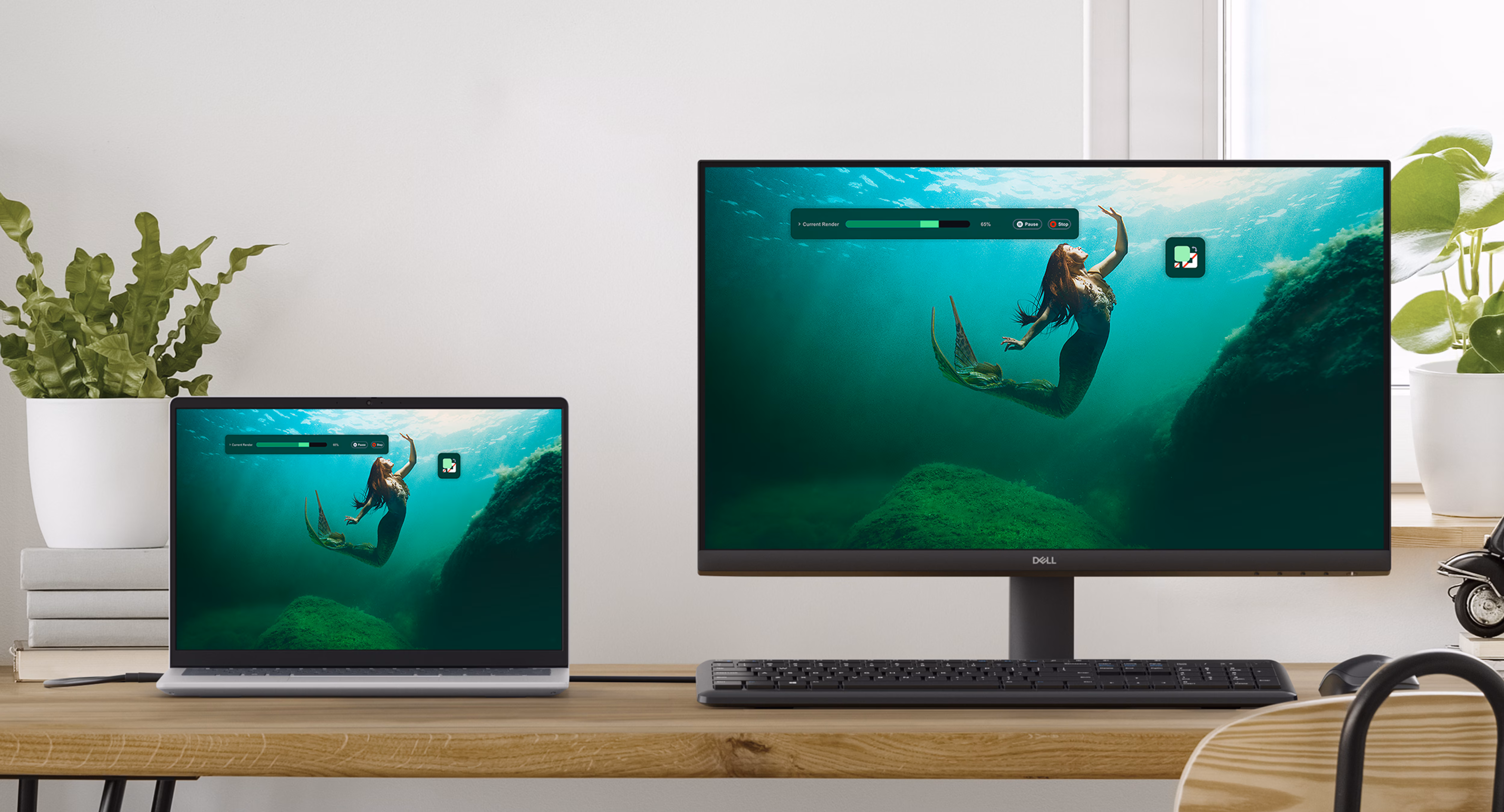 DELL 23.8" IPS SE2425HM 5MS 100Hz HDMI EV Ofis Tipi Monitör (1920 X 1080)