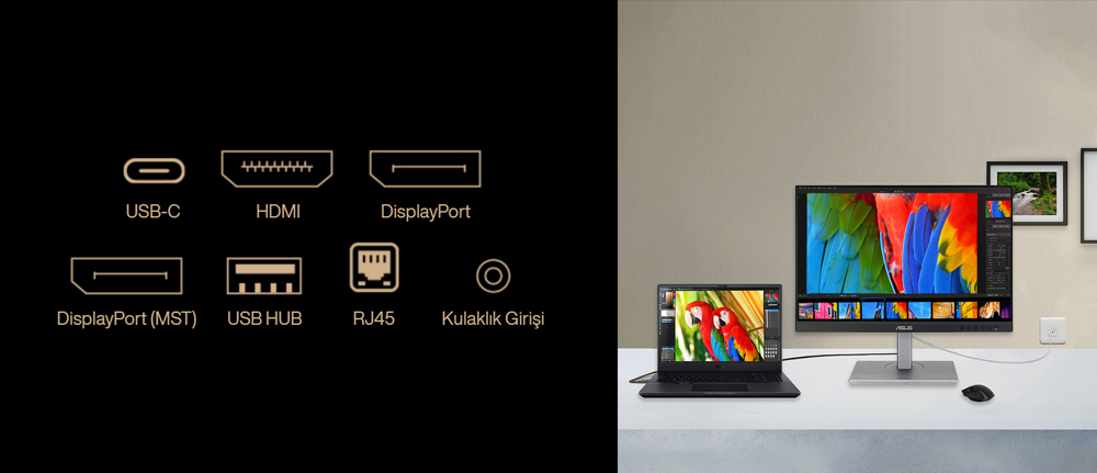 ASUS 24'' IPS PA248CNV 5MS 75Hz HDMI-DP-USB-C EV Ofis Tipi Monitör (1920 X 1080)