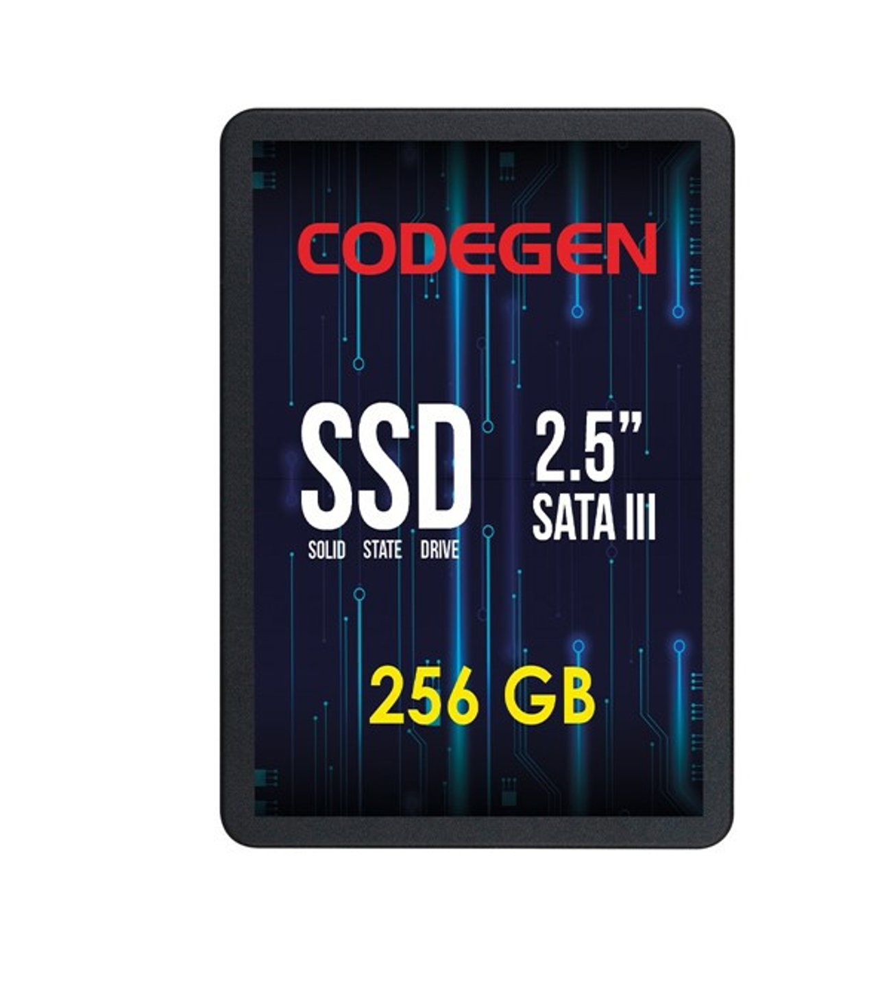 CODEGEN 256GB CDG-256GB-SSD25 560- 500MB/s SSD SATA-3 Disk