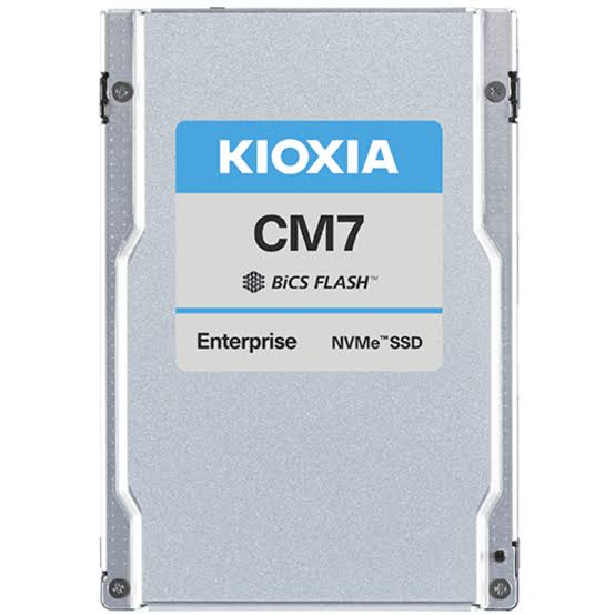 KIOXIA 3.84TB KCMYXRUG3T84 10000-4900MB/s Enterprise U3 NVME Gen5 Disk