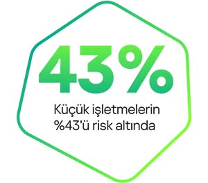 KASPERSKY Small Office Security 3yıl 2server + 20kullanıcı + 20 mobil cihaz