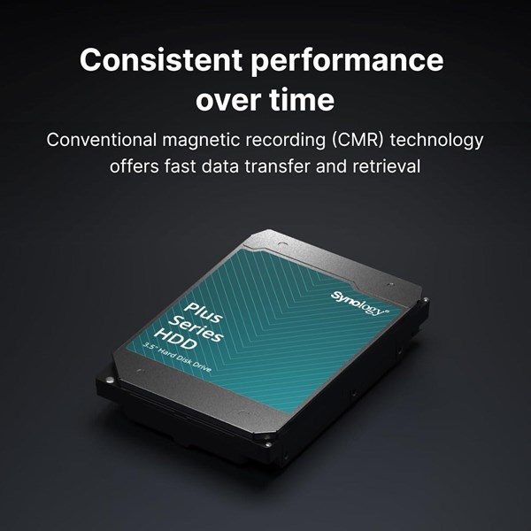 SYNOLOGY 12TB 3.5" HAT3310-12T 7200 RPM 256MB SATA-3 NAS Diski