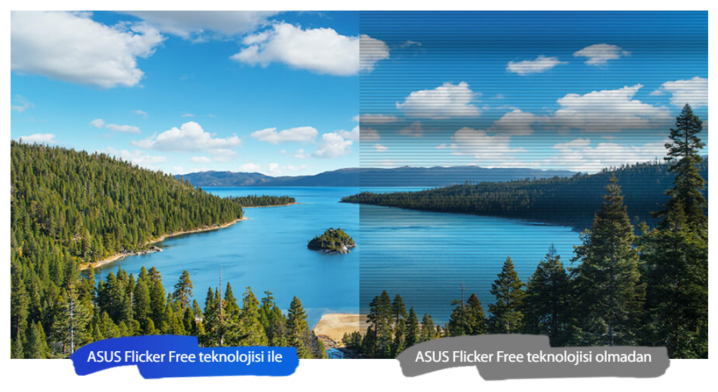 ASUS 21.5" IPS VP229HF 1MS 100hz HDMI EV Ofis Tipi Monitör (1920 X 1080)