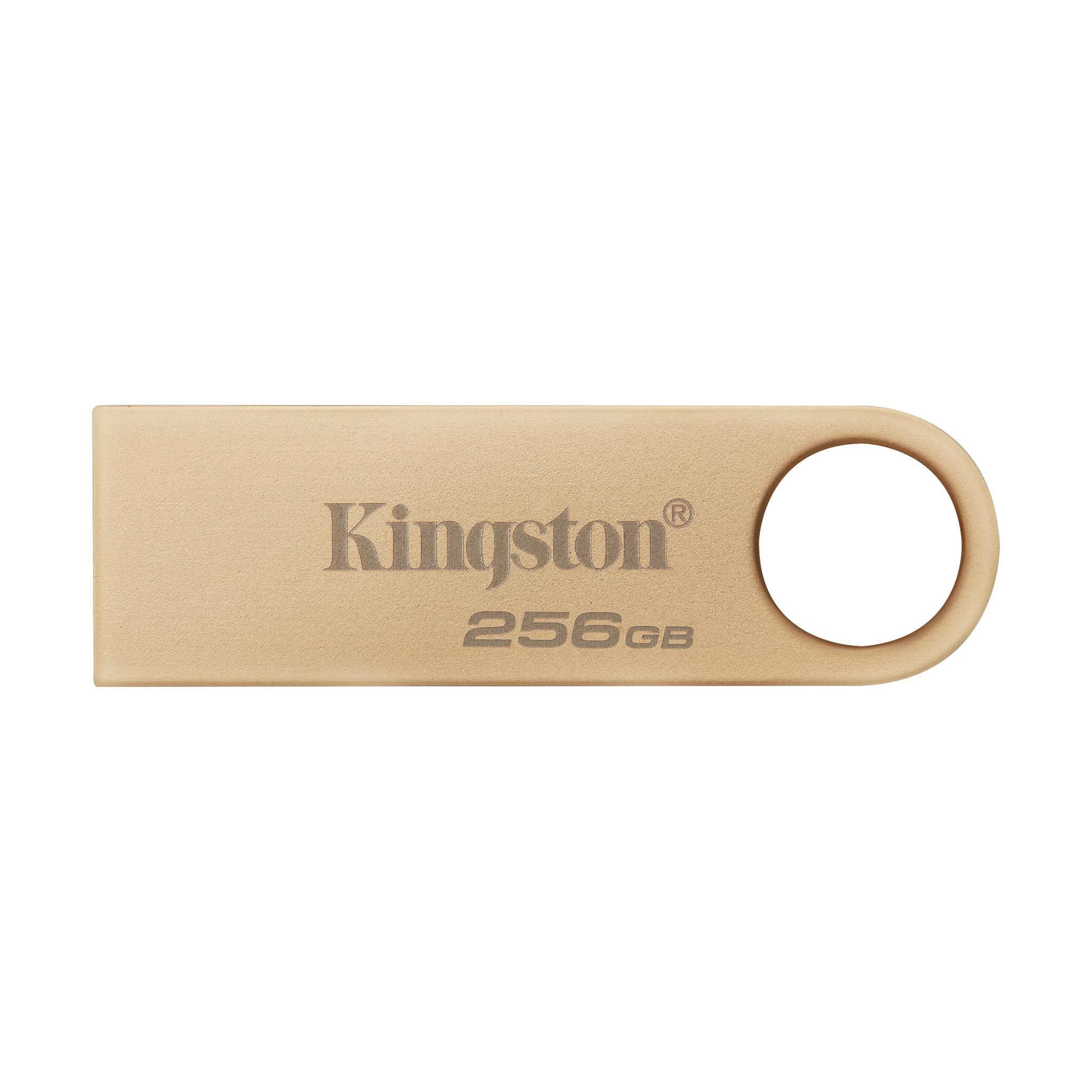KINGSTON 256GB USB 3.2 Usb Bellek DTSE9G3/256GB