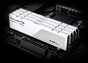 GSKILL 16GB DDR5 5600MHZ CL36 PC RAM RIPJAWS S5 F5-5600J3636C16GX1-RS5K