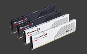 GSKILL 16GB DDR5 5600MHZ CL36 PC RAM RIPJAWS S5 F5-5600J3636C16GX1-RS5K
