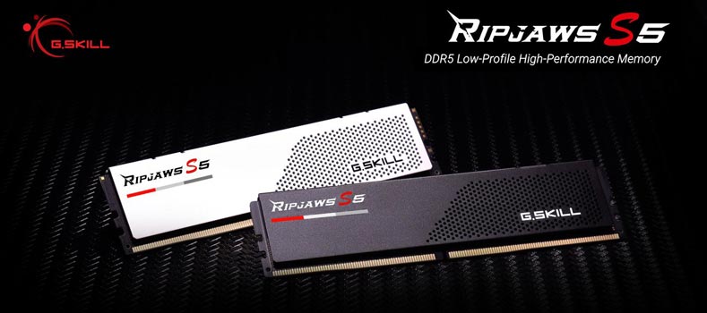 GSKILL 16GB DDR5 5600MHZ CL36 PC RAM RIPJAWS S5 F5-5600J3636C16GX1-RS5K