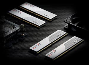 GSKILL 16GB DDR5 5600MHZ CL36 PC RAM RIPJAWS S5 F5-5600J3636C16GX1-RS5K