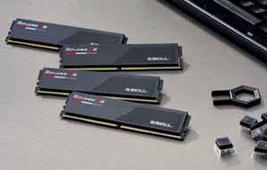 GSKILL 16GB DDR5 5600MHZ CL36 PC RAM RIPJAWS S5 F5-5600J3636C16GX1-RS5K