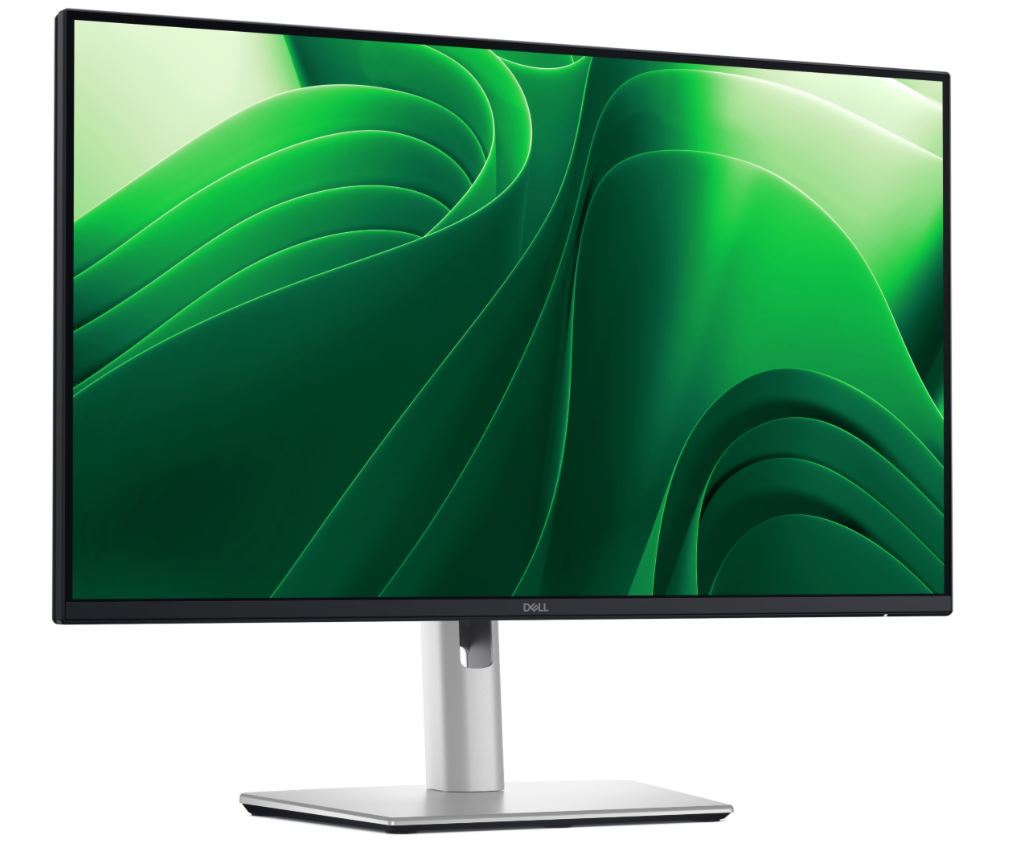 DELL 23.8" IPS PRO PLUS P2425D 5MS 100HZ HDMI-DP TYPEC RJ45 Kurumsal Monitör 2560x1440