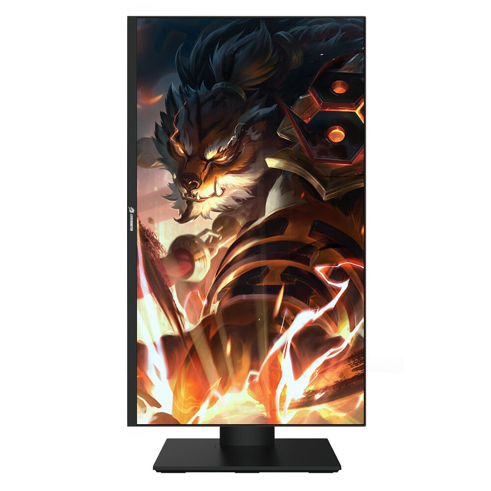 GAMEBOOSTER 27" SS IPS GB-2727FF 1MS 240HZ HDMI-DP Gaming Monitör 1920x1080