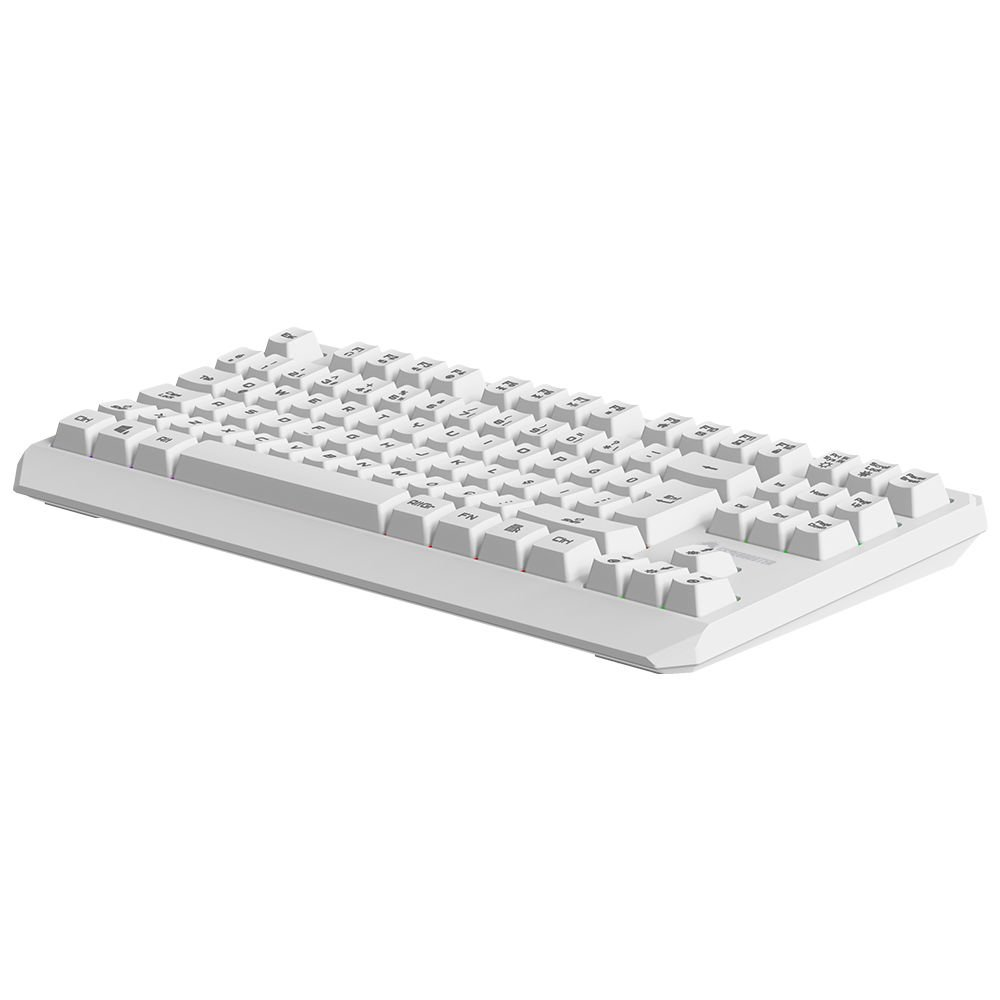 GAMEBOOSTER G75 ELYA Rainbow Aydınlatmalı Beyaz TKL Membrane Oyun Klavyesi ikinci görünüm